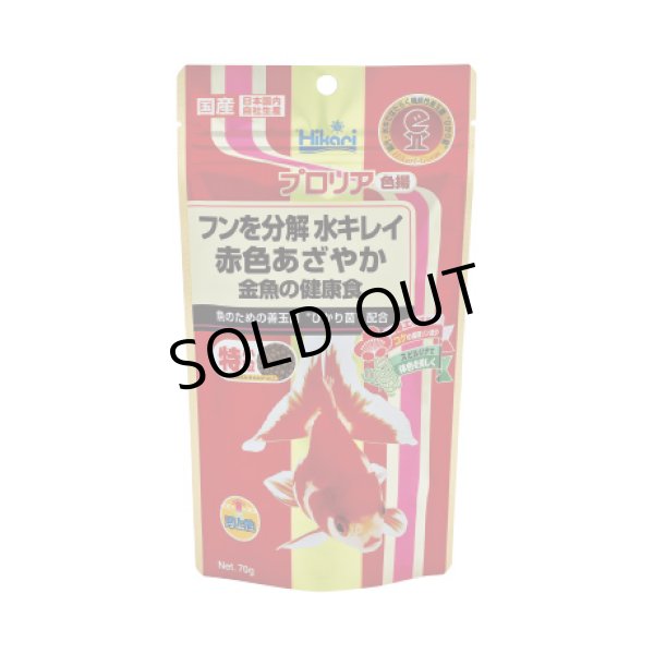 画像1: キョーリン ひかり プロリア 色揚 特小粒 ７０ｇ (1)